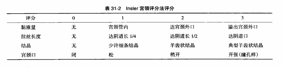 最新宮頸評分標準詳解，專業(yè)科普文章帶你了解最新宮頸評分標準