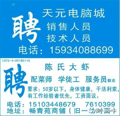 鳳翔在線最新招聘信息，家的溫馨故事與職業(yè)發(fā)展的交匯點