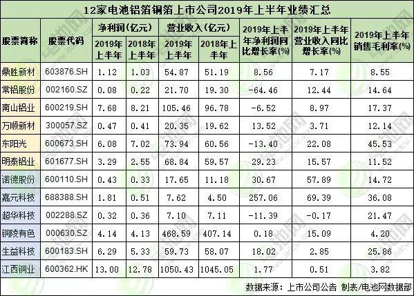 電池行業(yè)上市公司洞察，現(xiàn)狀與未來前景展望